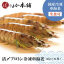 車エビ 【全国送料無料】車海老（生食可）プロトン凍結25g×10尾/ギフト/夏限定特価/海鮮加工品/天婦羅/BBQ/エビフライ/塩焼き/送料無料