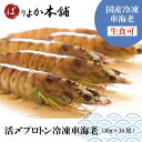 車エビ 【全国送料無料】車海老（生食可）プロトン凍結30g×10尾/ギフト/正月特価/海鮮加工品/天婦羅/エビフライ/塩焼き/送料無料