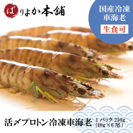 【全国送料無料】車海老（生食可）プロトン凍結1パック250g（40g×6尾）/ギフト/夏限定得価/海鮮加工品/天婦羅/エビフライ/塩焼き/送料無料