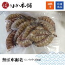 【全国送料無料】無頭車海老(加熱用)1パック250g/ギフト/夏限定特価/海鮮加工品/揚物/天婦羅/送料無料