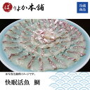 【送料無料商品・送り先限定(関東以南)】愛媛産真鯛/ギフト/夏限定特価/祝い/刺身用/生食可/海鮮加工品/三枚おろし/ばりよか本舗オリジナル商品/送料無料/活魚...