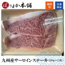 宮崎牛は、宮崎県内で産まれて肥育された黒毛和牛で、肉質が良いことで定評のあるブランド牛です。　--------------- 　・名称：九州産サーロイン　250g×2枚 　・産地：宮崎 　・内容量：250g×2枚 　・賞味期限：別途ラベルに記載 　・保存方法：冷凍 　・販売者：FCS株式会社/佐賀県佐賀市開成1-4-403 　---------------