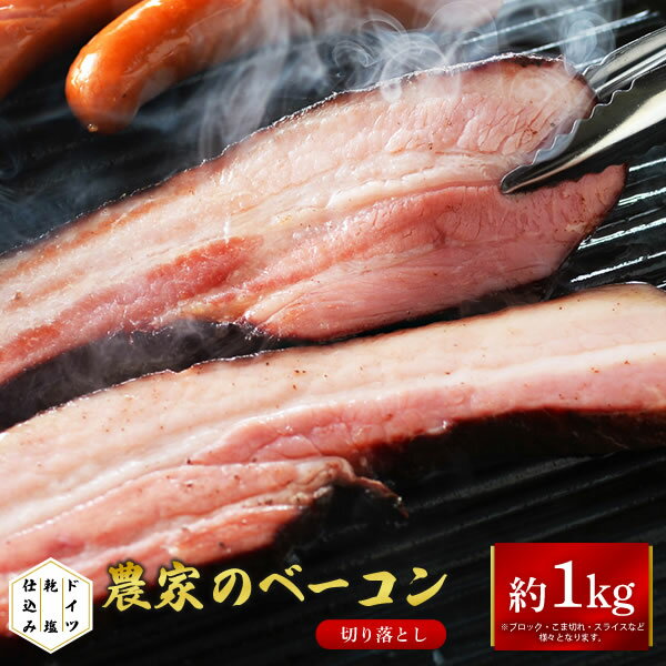 鹿児島県産黒豚使用 ロース味噌漬（110g×5）【送料無料（代引不可）】