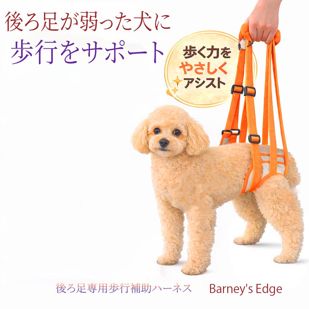 Rakuten - Barney'sEdge 歩行補助ハーネス 犬 Sサイズ Mサイズ オレンジ 1セット ペットハーネス 犬歩行補助ハーネス 犬用歩行補助具 犬用歩行補助ハーネス 犬介護用ハーネス 後ろ足 老犬介護用品 老犬介護グッズ 老犬歩行補助 犬に優しい 後ろ足用 力が入らない サポート 介護ハーネス