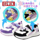 EDWIN GhEB Xj[J[ LbY WjA q ̎q h J Fς@}WbNe[v@wZ@ʊw edw3668 19cm 20cm 21cm 22cm 23cm p[v x_[ PURPLE  ubN BLACK