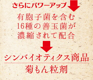 菊芋【菊もん320粒】粒タイプ 1g400億個有胞子菌　腸内フローラ　無農薬 熊本県産菊芋 菊芋サプリ　イヌリン