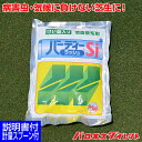 バーディーラッシュSi 1kg 4月〜9月施肥 芝生用液肥 液体肥料 速効性肥料 ケイ酸 Si