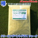超高級芝生ニュークリーピングベントグラス 新品種シャーク 1kg お庭の広さ15〜24坪用 寒地型 芝生の種 多年草 ニューベント 発芽適温摂氏15〜25度程度...