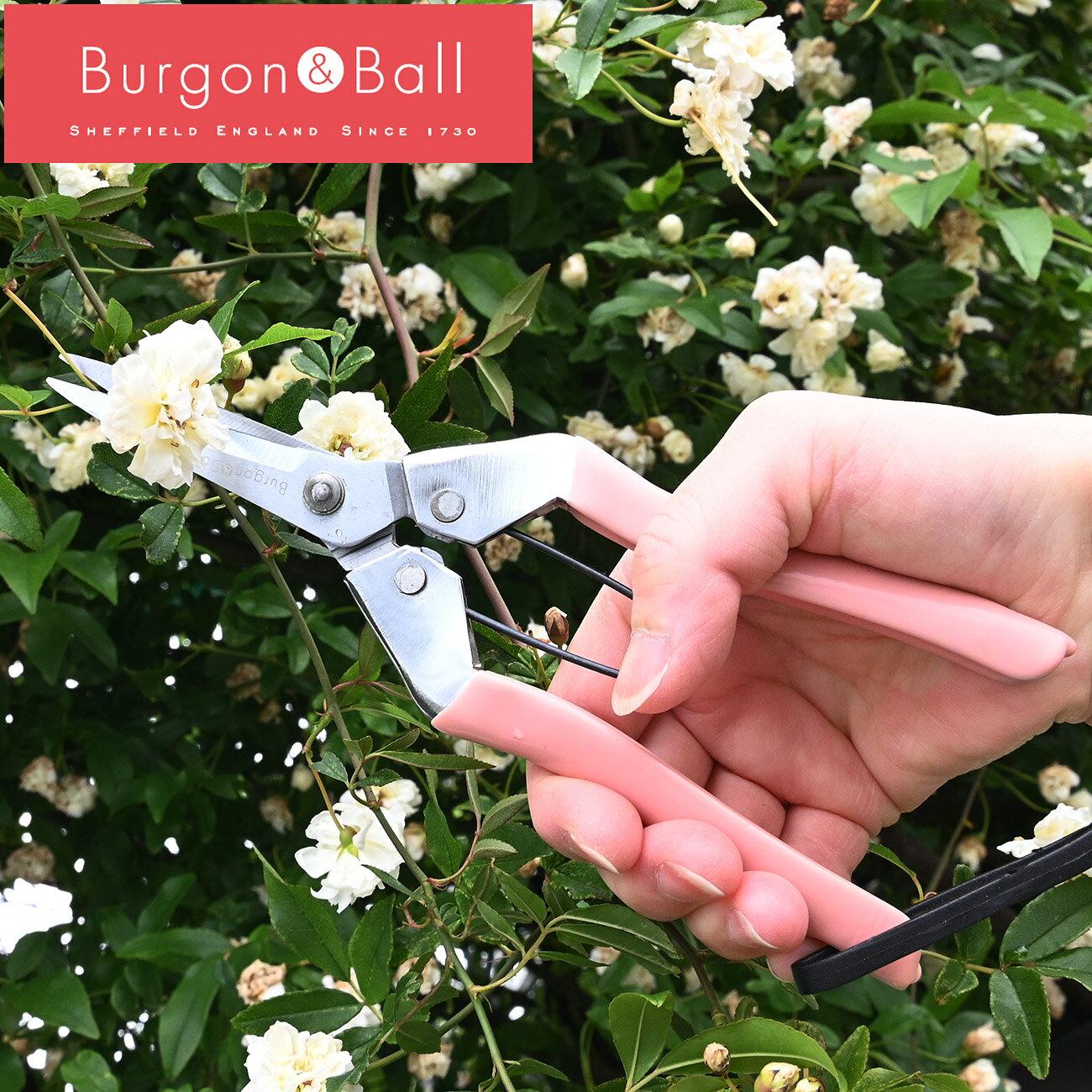 英国ブランド Burgon&Ball ガーデニング スニップ 花切りはさみ ギフト 花切りバサミ 園芸用 ギフト