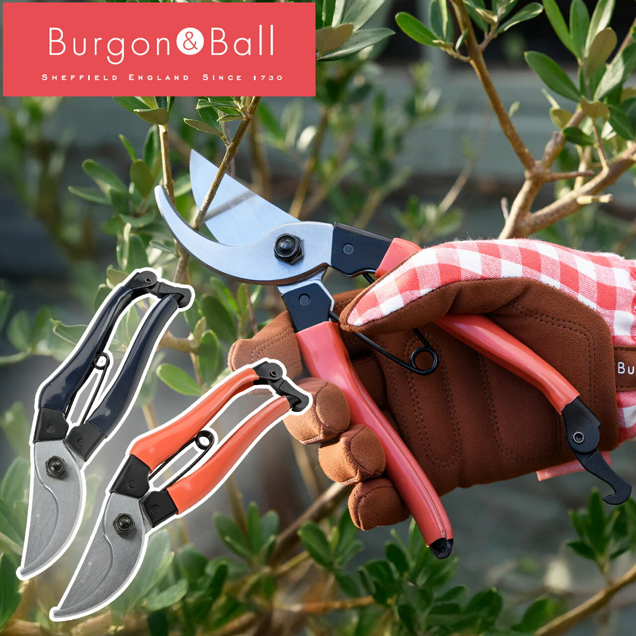 乐天商城 - 英国ブランド Burgon & Ball バイパス剪定鋏 ネイビー レッド MAX25mm 剪定ばさみ 剪定はさみ 剪定ハサミ 枝切ばさみ 植木鋏 園芸用 ギフト