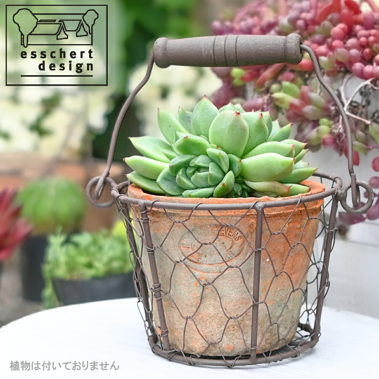 esschert design 持ち手付きワイヤーバスケット と テラコッタ 3号 植木鉢 おしゃれ ギフト