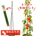 トマト支柱セット ビニタイ付き 組立式 高さ180cm 家庭菜園用