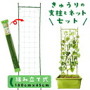 キュウリ支柱セット ネット付き 組立式 高さ180cm 家庭菜園用