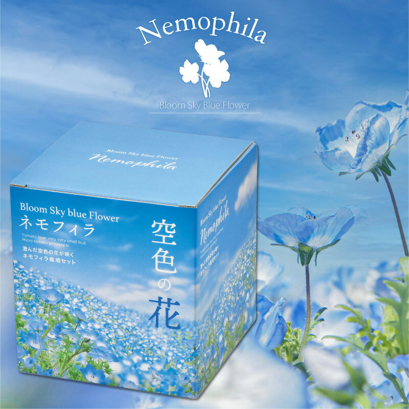 空色の花 ネモフィラ 栽培セット 栽培キット ギフトのサムネイル