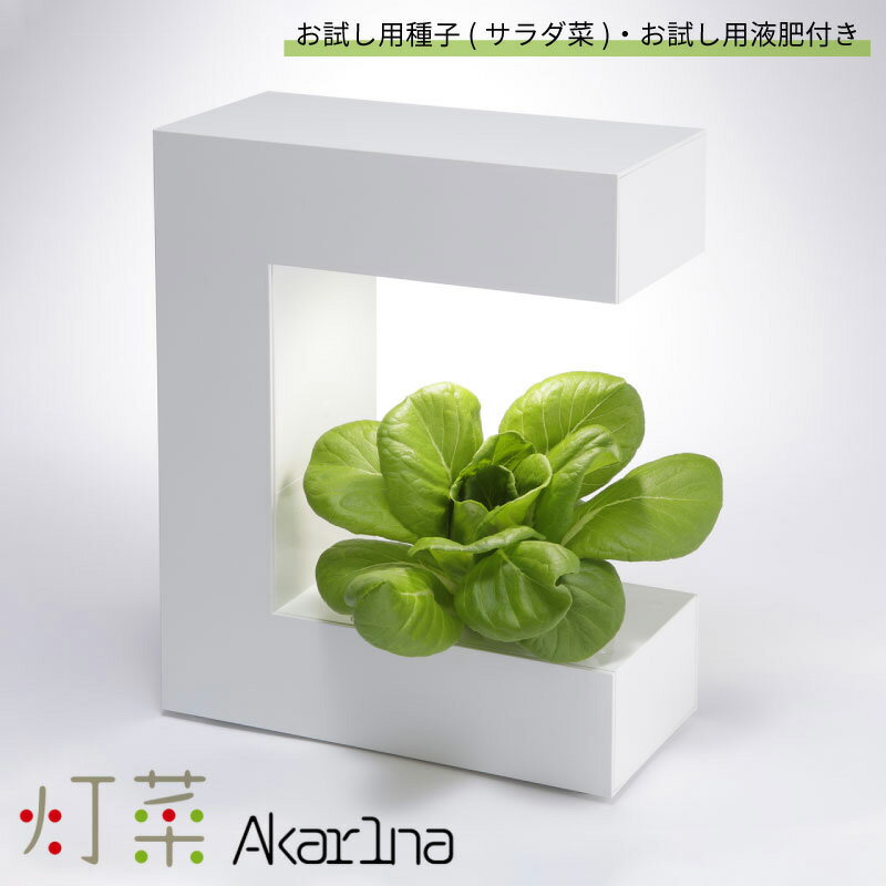 灯菜 LED水耕栽培器 AKARINA14 お試し用種(サラダ菜)付 お試し用液肥付 ギフト