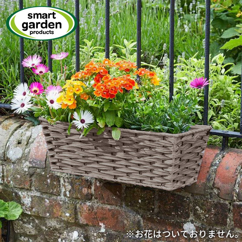英国ブランド Smart Garden ラタン調バスケット プランターカバー 壁掛け ソフトグレー 50cm