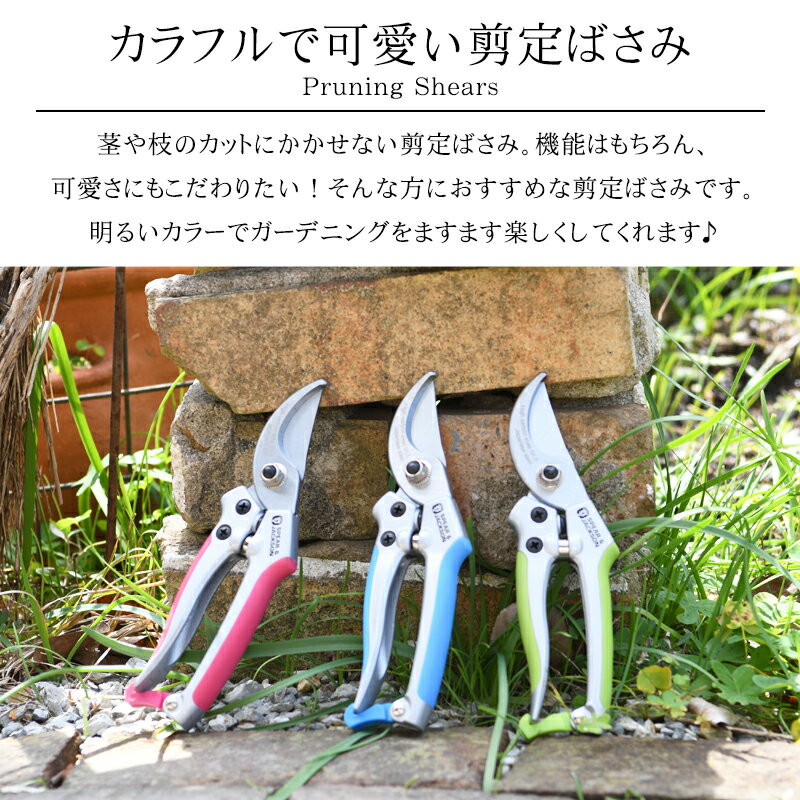 サンプル画像2