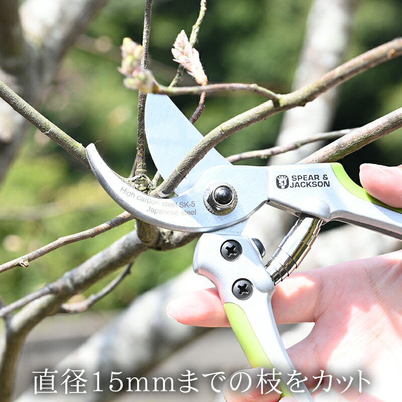 サンプル画像3