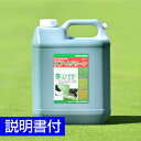 芝生用着色剤 バロネス Kアイグリーン 5kg 共栄社