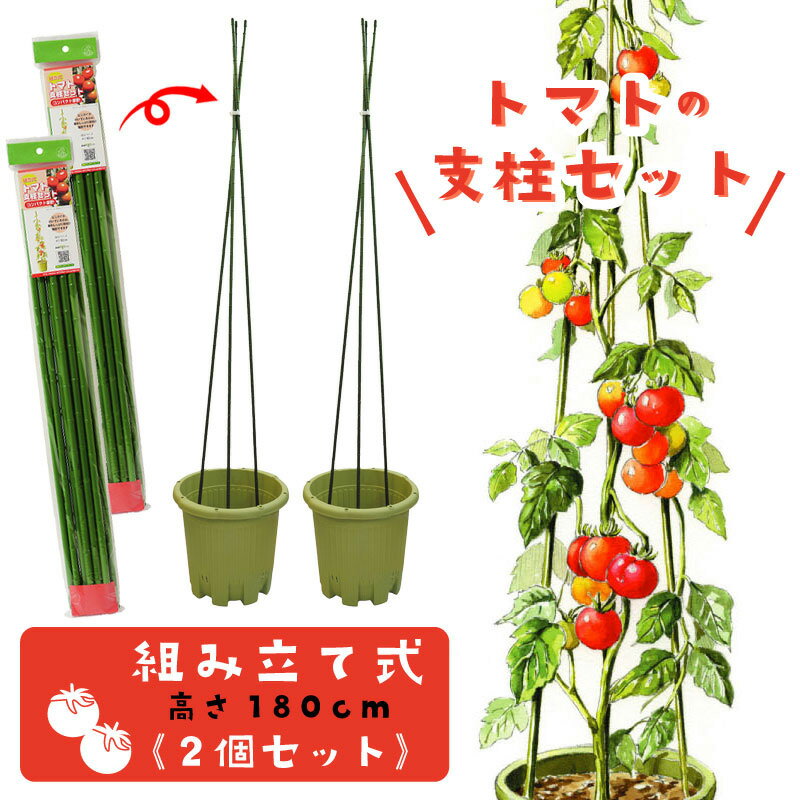 トマト支柱セット ビニタイ付き 組立式 高さ180cm 家庭菜園用 2個セットのサムネイル