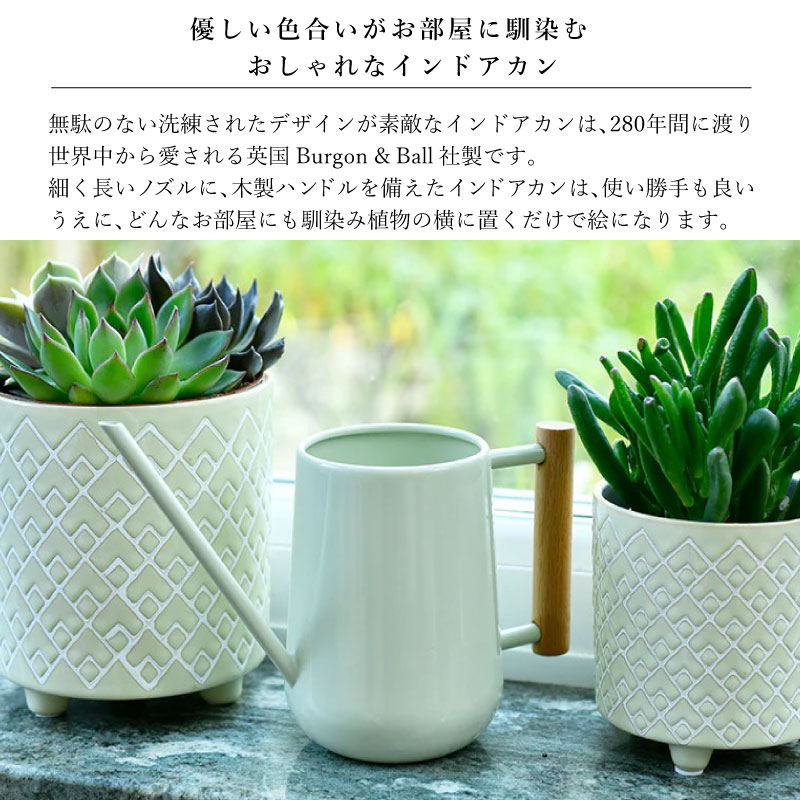 芝生のことならバロネスダイレクトの【アウトレット】Burgon & Ball インドア ウォータリングカン 0.7L 選べる3色 英国ブランド じょうろ 細口 水差し｜アングル3