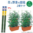 花と野菜の支柱 フック式留め具付き 組立式 Mサイズ 高さ90cm 家庭菜園用 2個セット 畑 ジョイント 園芸 パイプ