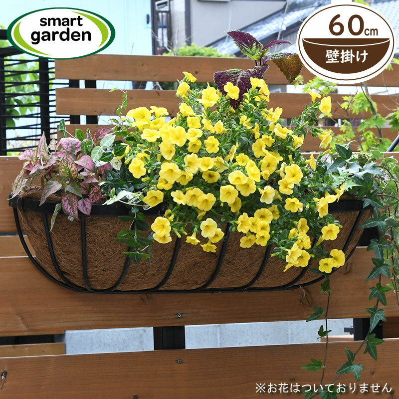 英国ブランド Smart Garden 壁掛けハンギングバスケット 60cm ヤシマット付きセット ココヤシ ブラックのサムネイル