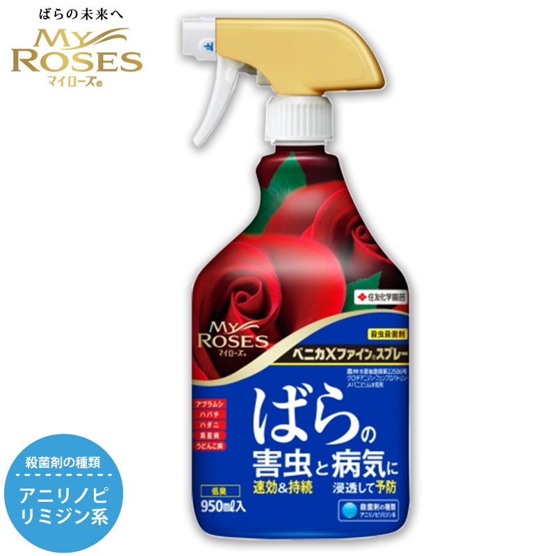 住友化学園芸 殺虫殺菌剤 マイローズ ベニカXファインスプレー 950ml 園芸用品 ばら うどんこ病 黒星病