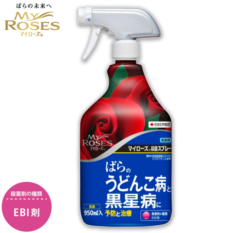 住友化学園芸 殺菌剤 マイローズ殺菌スプレー 950ml 園芸用品 ばら うどんこ病 黒星病