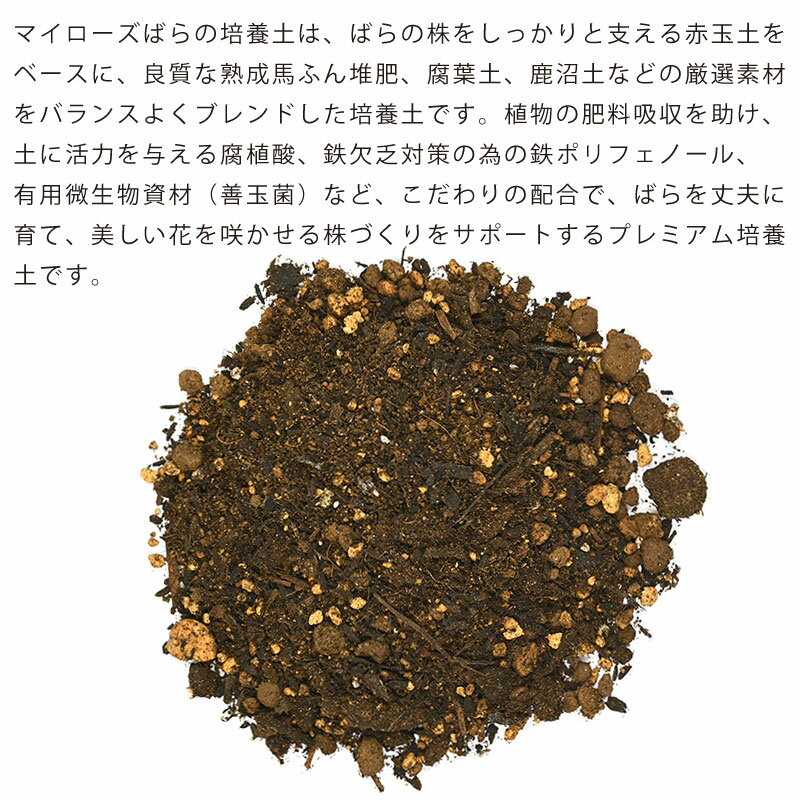 ��ͧ���ر�� �ޥ������� �Ф�������� 10L �����ǥ˥� ������� ���� 1�� 2�� 4�ޥ��å� KINCHO��� �Х���� �ޤȤ��㤤