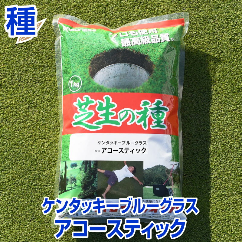 ケンタッキーブルーグラス アコースティック 1kg入 お庭の広さ12〜15坪用 バロネス寒地型芝の種 多年草 発芽適温摂氏15〜25度程度です 共栄社