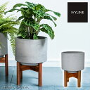 IVYLINE ヴィーゴ コンクリート プランターカバー ウッドスタンド付 グレー 鉢 セメント 鉢底穴なし 22cm 観葉植物