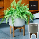 IVYLINE ヴィーゴ コンクリート プランターカバー ウッドスタンド付 グレー 鉢 セメント 鉢底穴なし 24cm 観葉植物
