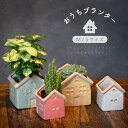 おうちプランター S(2~2.5号) M(3~3.5号) 鉢底穴あり 植木鉢 陶器鉢 観葉植物 多肉植物 ハーブ かわいい 可愛い おしゃれ ガーデニング ギフト イエロー ブルー ピンク ホワイト