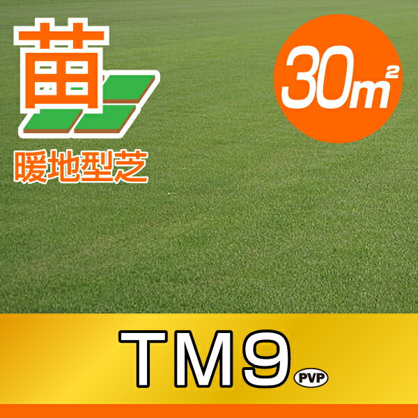 thum2