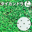 ダイカンドラ コート種子 1kg入り