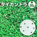Benidai ダイカンドラ コート種子 200g入り