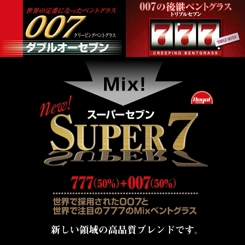クリーピングベントグラス Super7 スーパーセブン 500g入り お庭の広さ7.5〜10坪用...