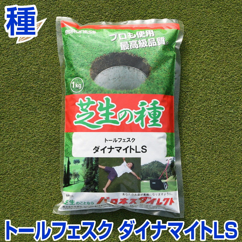 【期間限定セール】トールフェスク ダイナマイトLS 1kg 【アリッド3代替品種】 お庭の広さ6〜9坪用 バロネス寒地型 芝生の種 多年草 発芽適温摂氏15〜25度程度です。/あす楽対応/共栄社/【店頭受取対応商品】