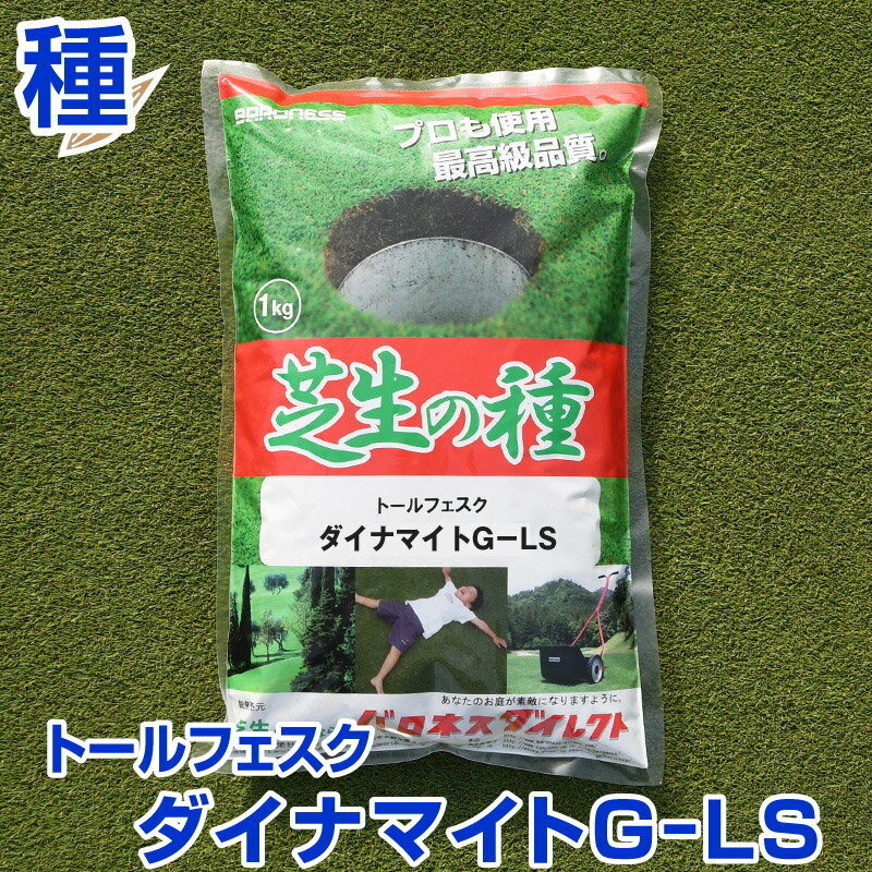 トールフェスク ダイナマイトG-LS 1kg お庭の広さ6～9坪用 バロネス寒地型 芝生の種 多年草 発芽適温摂氏15～25度程…