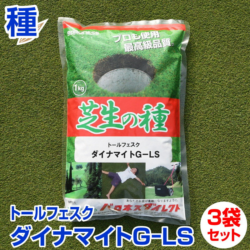 トールフェスク ダイナマイトG-LS 1kg お徳用3袋セット お庭の広さ6～9坪用 バロネス寒地型 芝生の種 多年草 発芽適…