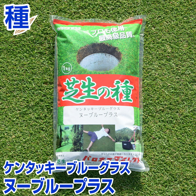 ケンタッキーブルーグラス ヌーブループラス 1kg お庭の広さ12～15坪用 バロネス寒地型 芝生の種 多年草 発芽適温摂氏15～25度程度です 共栄社