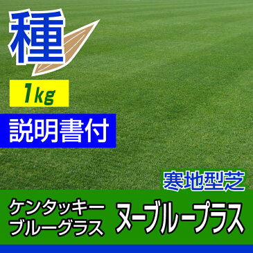 ケンタッキーブルーグラス ヌーブループラス 1kg お庭の広さ12〜15坪用 バロネス寒地型 芝生の種 多年草 発芽適温摂氏15〜25度程度です。/あす楽対応/共栄社/