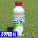 芝生用殺菌剤 カシマン液剤 1L ゴルフ場も使用 芝病害 病気 防除 ダラースポット病 炭そ病 葉枯病 日本芝 コウライシバ ベントグラス バミューダグラス