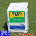 芝生用殺菌剤 グラステン水和剤 1kg 