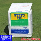 芝生用殺菌剤 グラステン水和剤 1kg ゴルフ場も使用 総合防除剤 芝病害 病気 葉腐病 ラージパッチ ブラウンパッチ 春はげ病 さび病