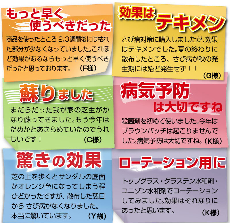 芝生用殺菌剤 グラステン水和剤 1kg ゴルフ場も使用 総合防除剤 芝病害 病気 葉腐病 ラージパッチ ブラウンパッチ 春はげ病 さび病 3