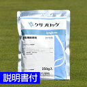 芝生用除草剤 クサブロック 250g イネ科 雑草対策 日本芝 高麗芝 野芝 ベントグラス ケンタッキーブルーグラス