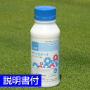 芝生用殺菌剤 ザンプロターフ 500ml 芝病害 病気 ピシウム病 赤焼病