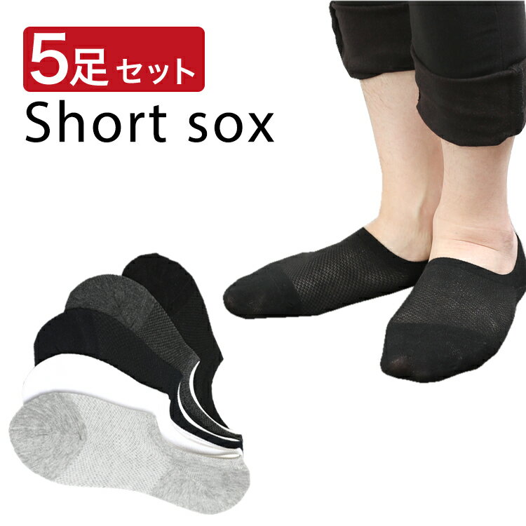(取寄) ソックガイ ノーミ－ズ 6インチ ソック SockGuy Gnomies 6in Sock